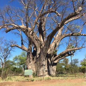 THE ROYAL LIVINGSTONE VICTORIA FALLS ZAMBIA HOTEL BY ANANTARA 1枚目