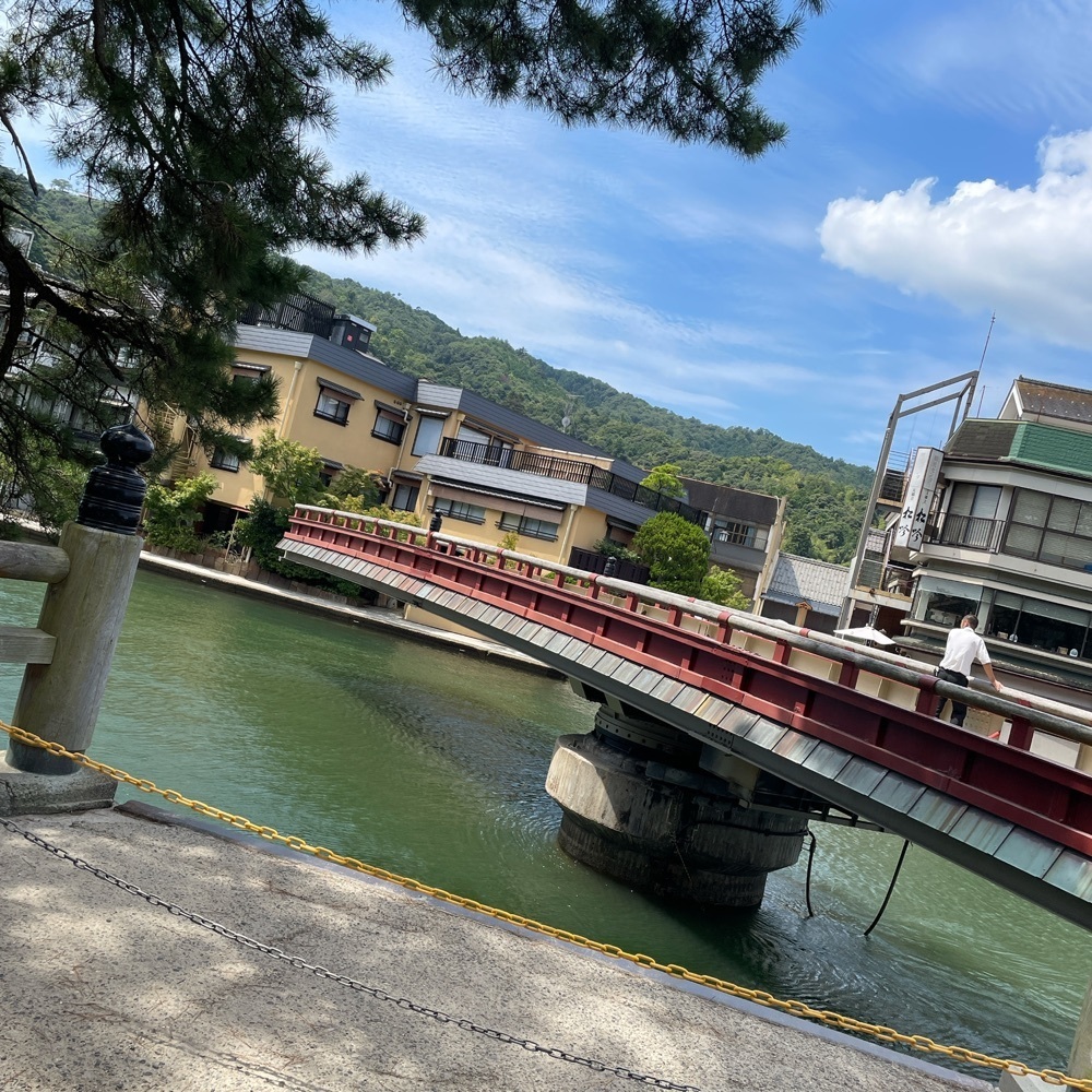 Danjouさんが投稿した廻旋橋に関する口コミの画像