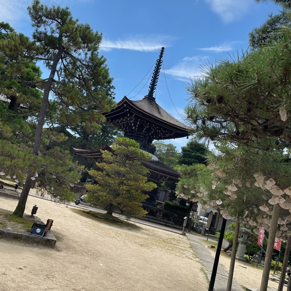 Danjouさんが投稿した智恩寺（京都府宮津市）に関する口コミの画像