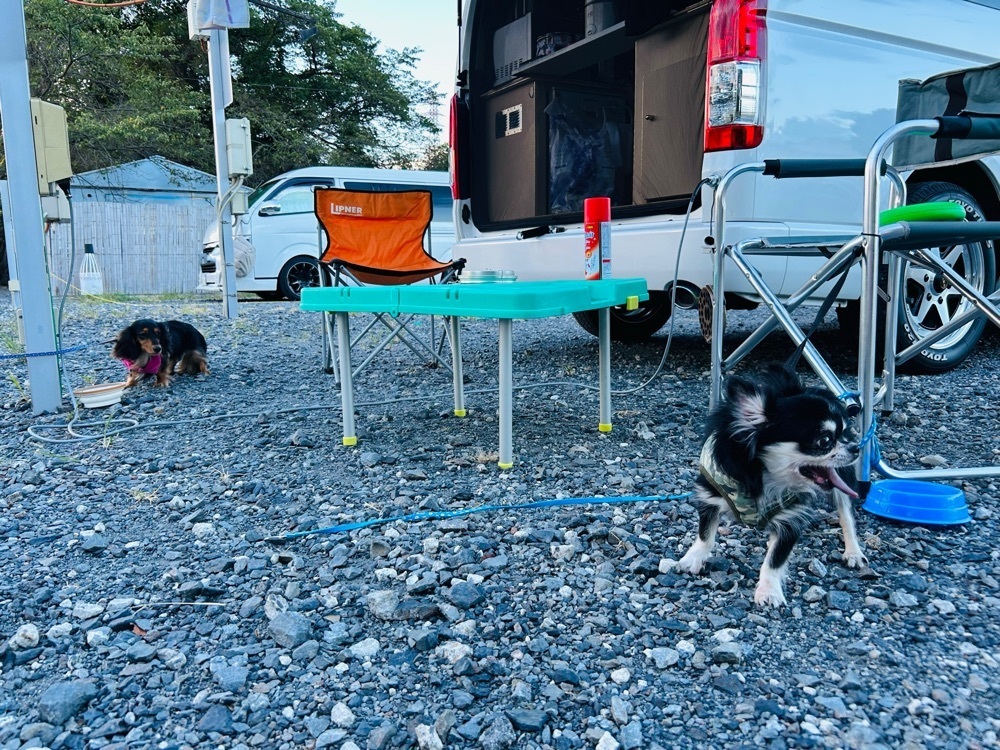 cool_village_20d2さんが投稿した小山温泉思川に関する口コミの画像