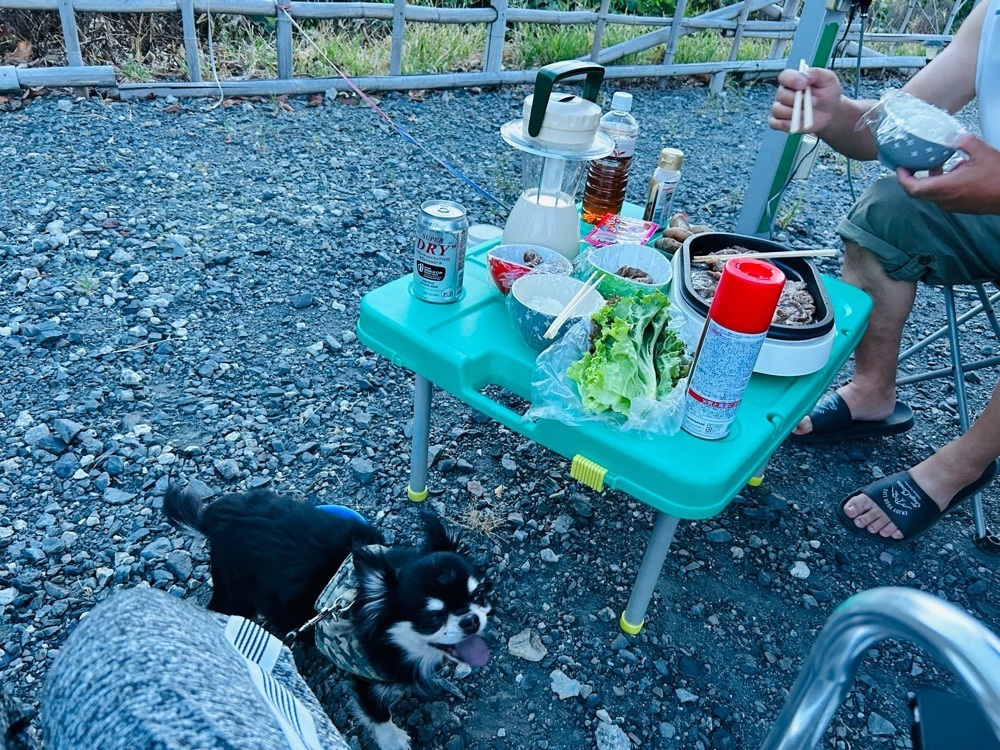 cool_village_20d2さんが投稿した小山温泉思川に関する口コミの画像