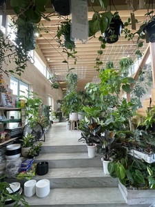 asiac（アジアック） 6枚目