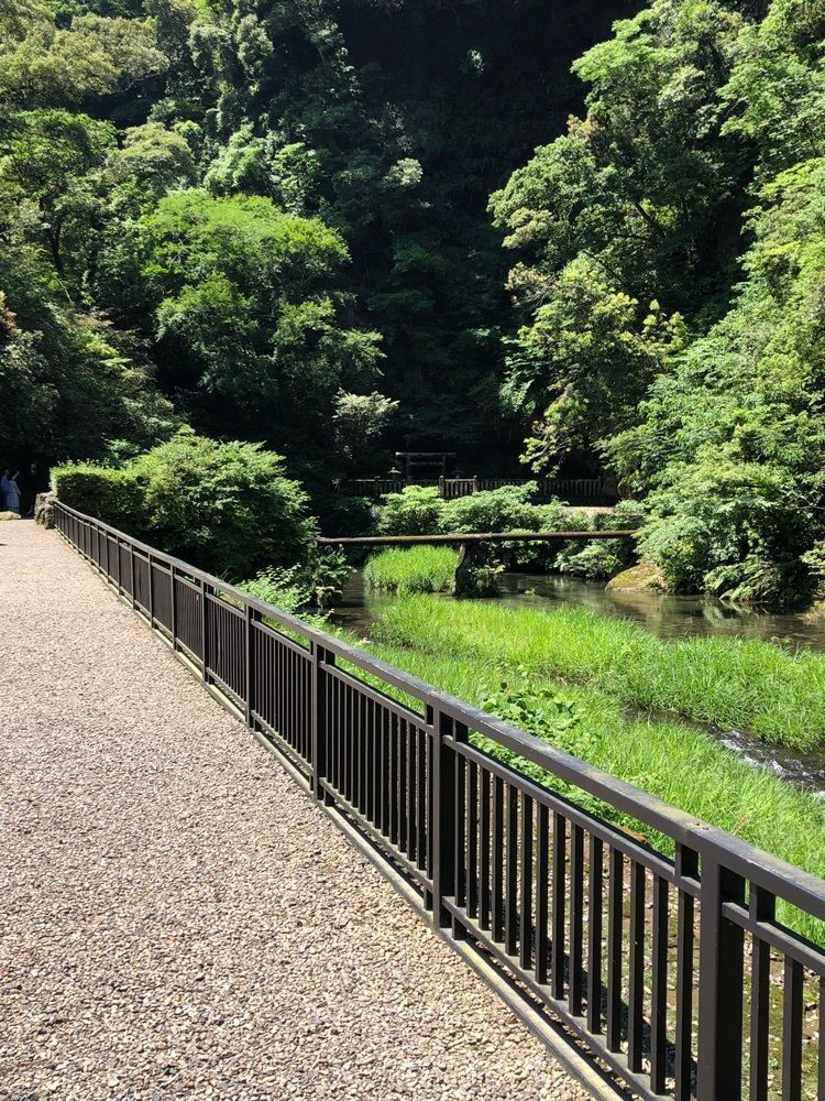一人旅_mall_0723さんが投稿した吾平山上陵に関する口コミの画像