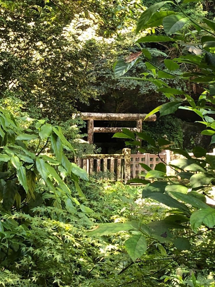 一人旅_mall_0723さんが投稿した吾平山上陵に関する口コミの画像