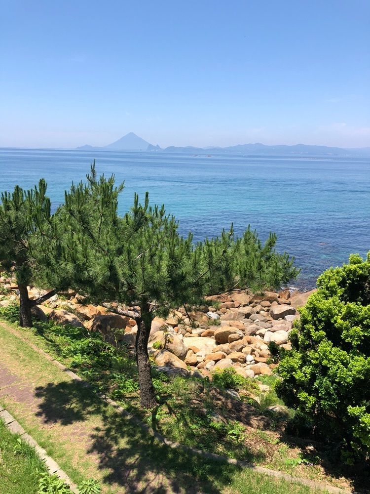 一人旅_mall_0723さんが投稿した味の大砲（アジノタイホウ）に関する口コミの画像