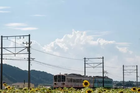 近江鉄道株式会社