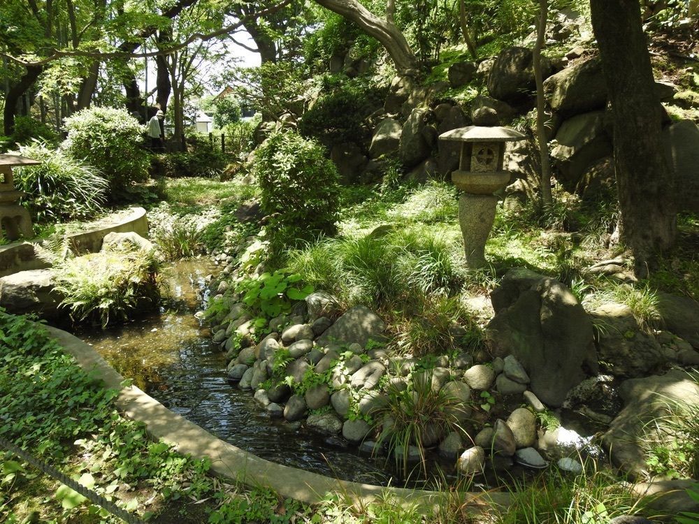 junkunさんが投稿した四季の花に関する口コミの画像