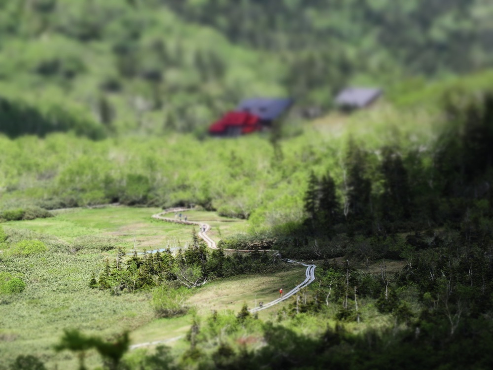 でぃーごさんが投稿した栂池高原に関する口コミの画像