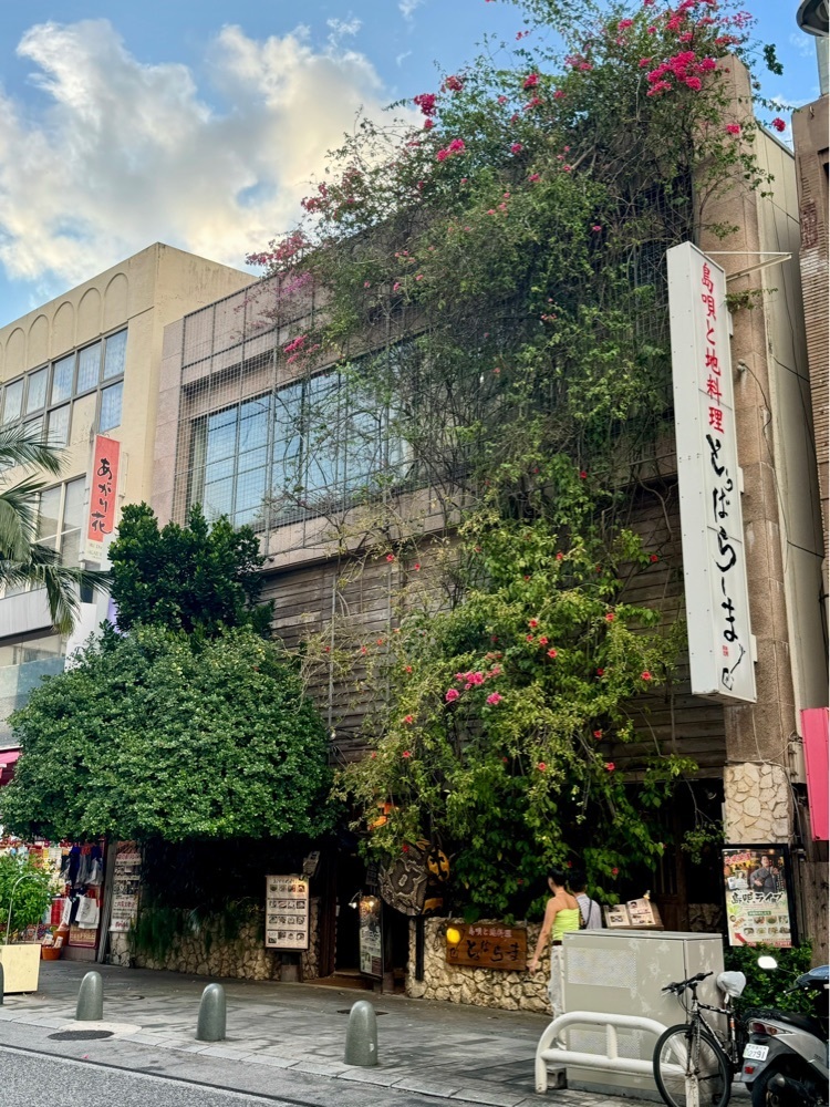 junjun09090909さんが投稿した島唄と地料理 とぅばらーま 国際通り店に関する口コミの画像