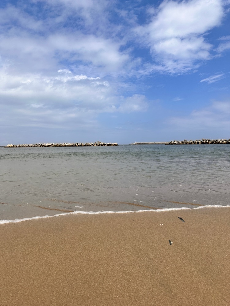 かめ_メグミさんが投稿した浜の駅 松川浦に関する口コミの画像