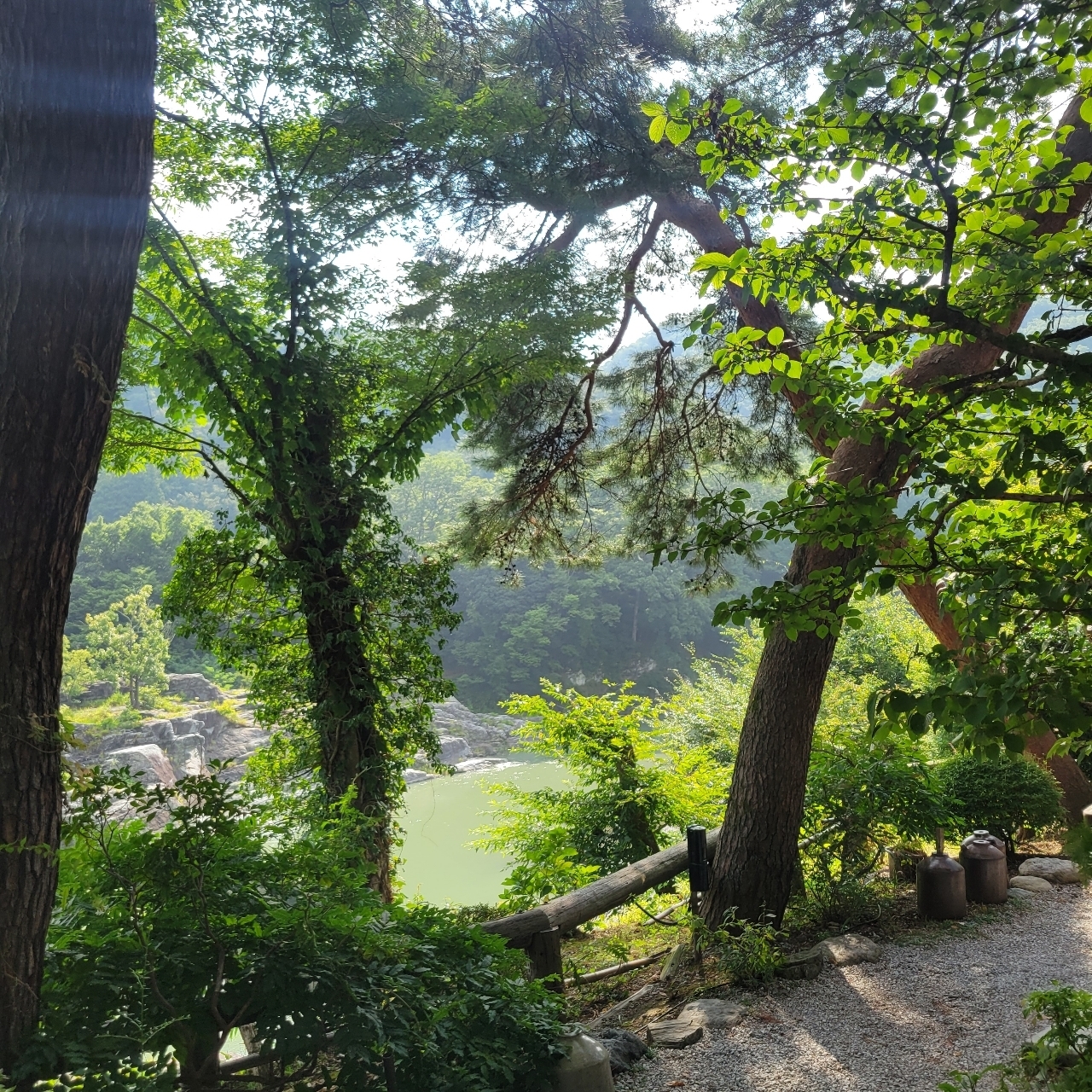 miさんが投稿した花のおもてなし 長生館に関する口コミの画像