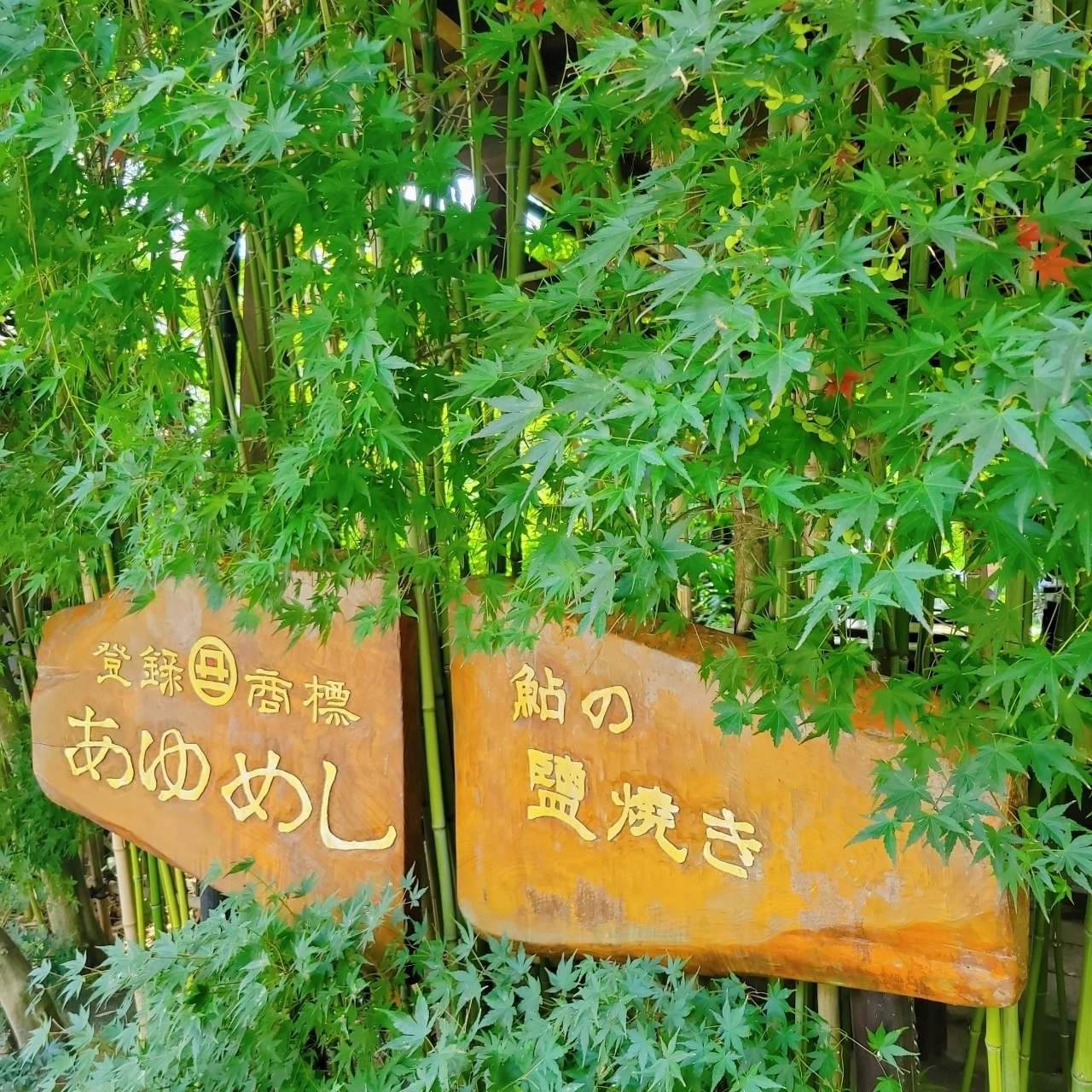 miさんが投稿した鮎茶屋に関する口コミの画像