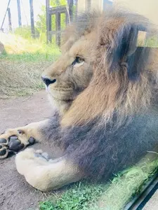 長野市茶臼山動物園