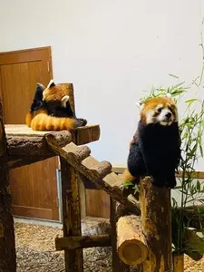 長野市茶臼山動物園
