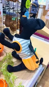イオンモール 羽生