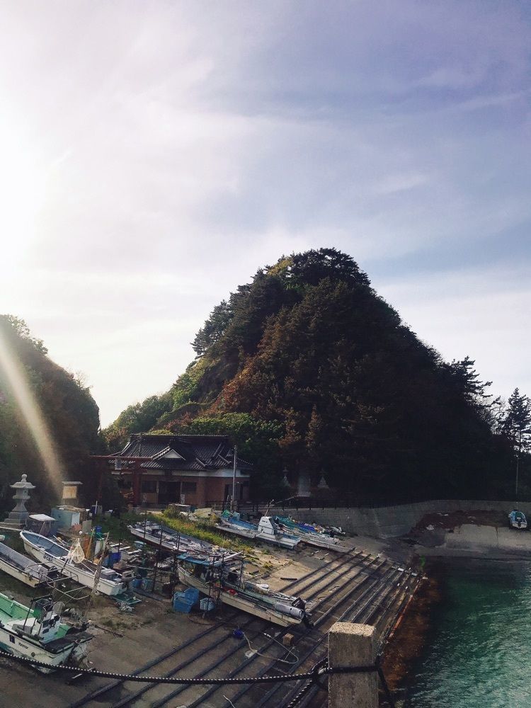 猫なぎ。さんが投稿した白山島に関する口コミの画像