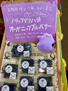 道の駅 はっとう