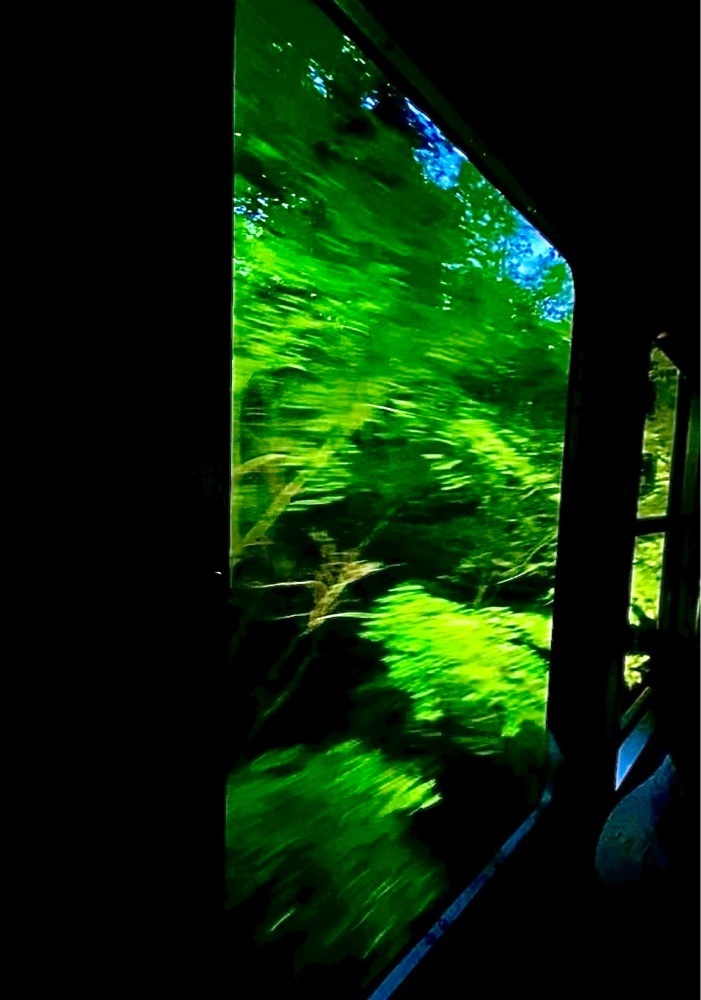 カランさんが投稿した二ノ瀬駅に関する口コミの画像