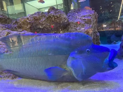 イオンスタイル ライカム店
