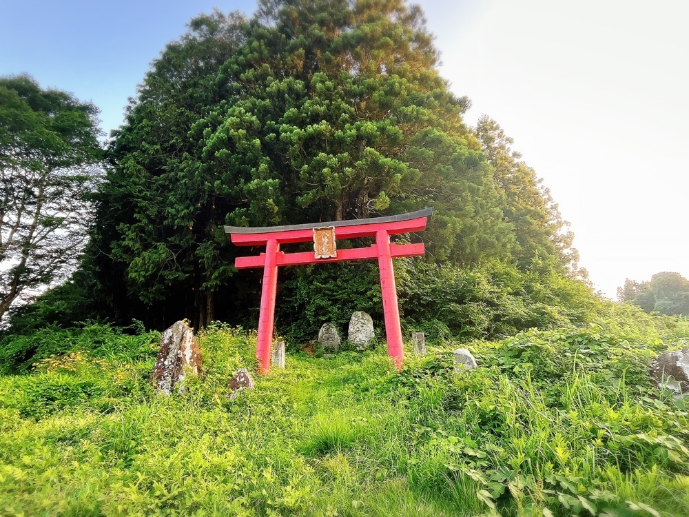 猫なぎ。さんが投稿した坪沼八幡神社に関する口コミの画像
