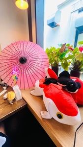 カフェ&ダイニングバー 金魚亭 8枚目