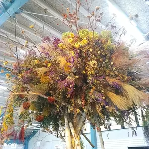 横浜ディスプレイミュージアム群馬店