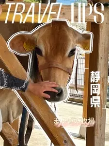 まかいの牧場