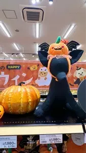 イオンモール 羽生