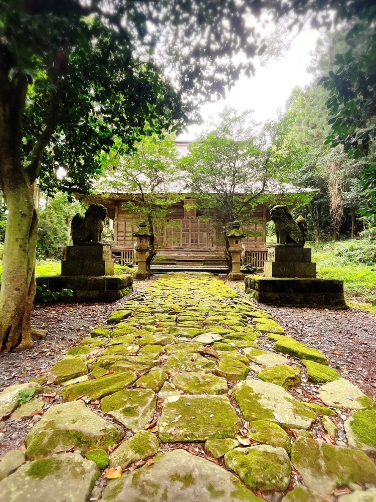 猫なぎ。さんが投稿した楯の川酒造株式会社（タテノカワシュゾウカブシキガイシャ）に関する口コミの画像