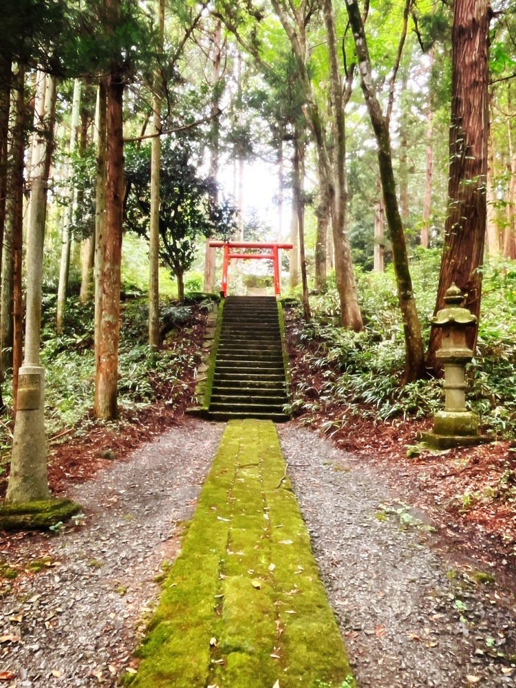 猫なぎ。さんが投稿した楯の川酒造株式会社（タテノカワシュゾウカブシキガイシャ）に関する口コミの画像