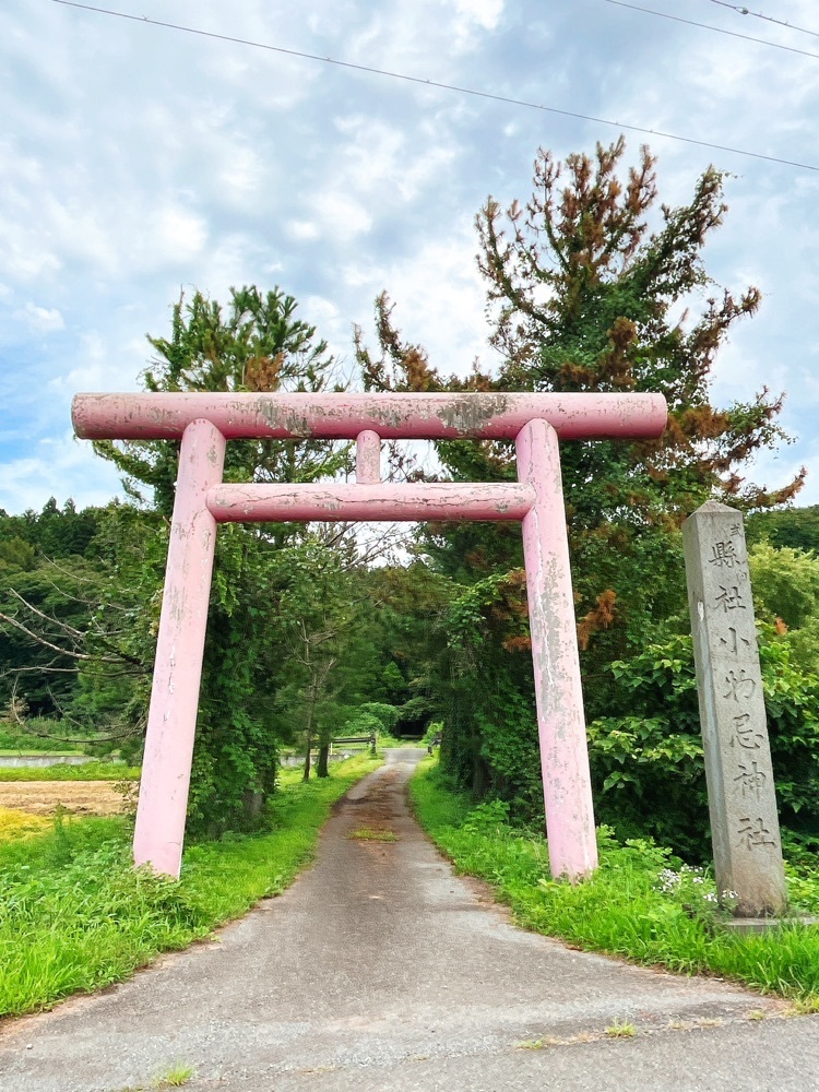 猫なぎ。さんが投稿した楯の川酒造株式会社（タテノカワシュゾウカブシキガイシャ）に関する口コミの画像