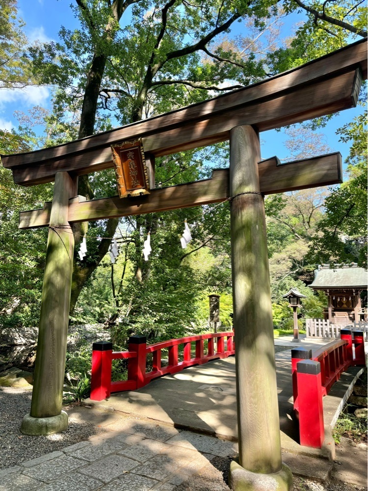 luckyさんが投稿した氷川神社に関する口コミの画像