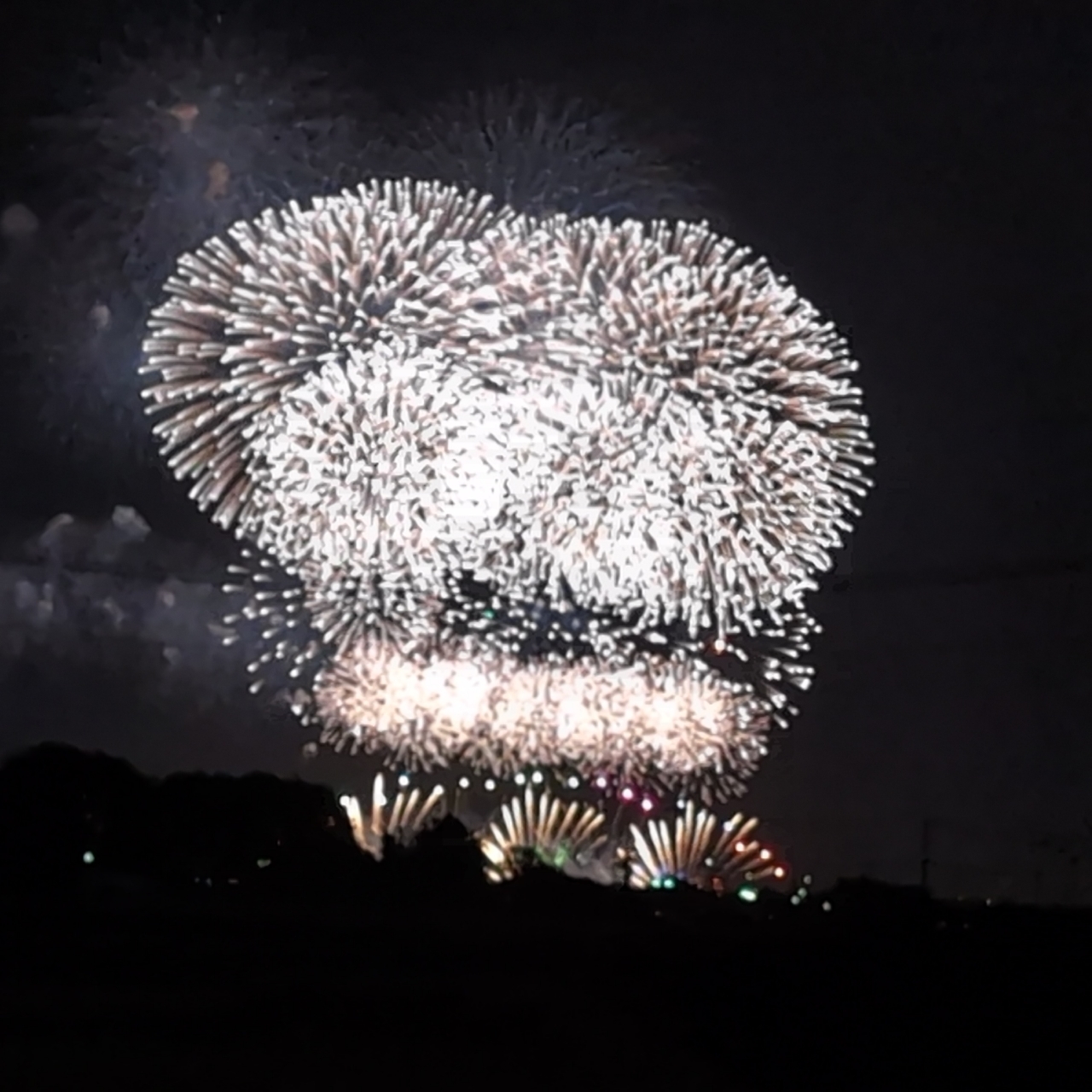 Pさんが投稿した利根川大花火大会に関する口コミの画像