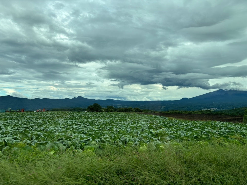 それなはとけさんが投稿した天狗山カフェに関する口コミの画像
