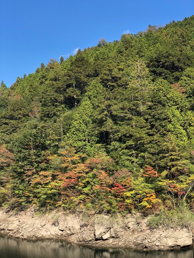 nicanさんが投稿した銭形砂絵「寛永通宝」に関する口コミの画像