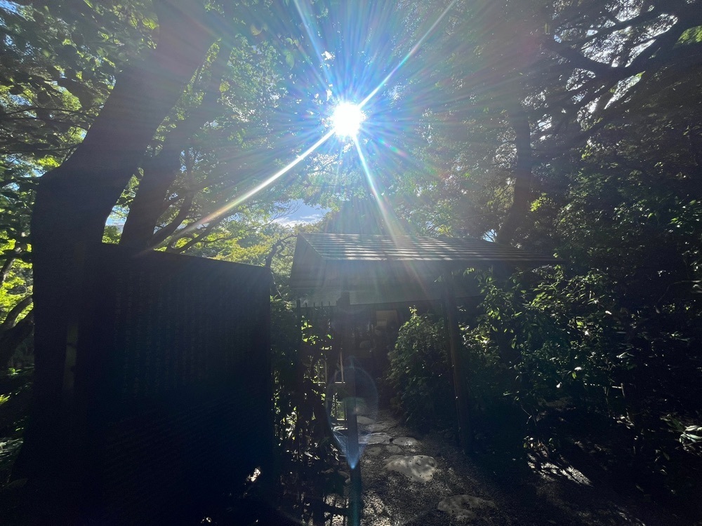 ponponao②さんが投稿したカフェ庭園（cafe TEIEN）に関する口コミの画像