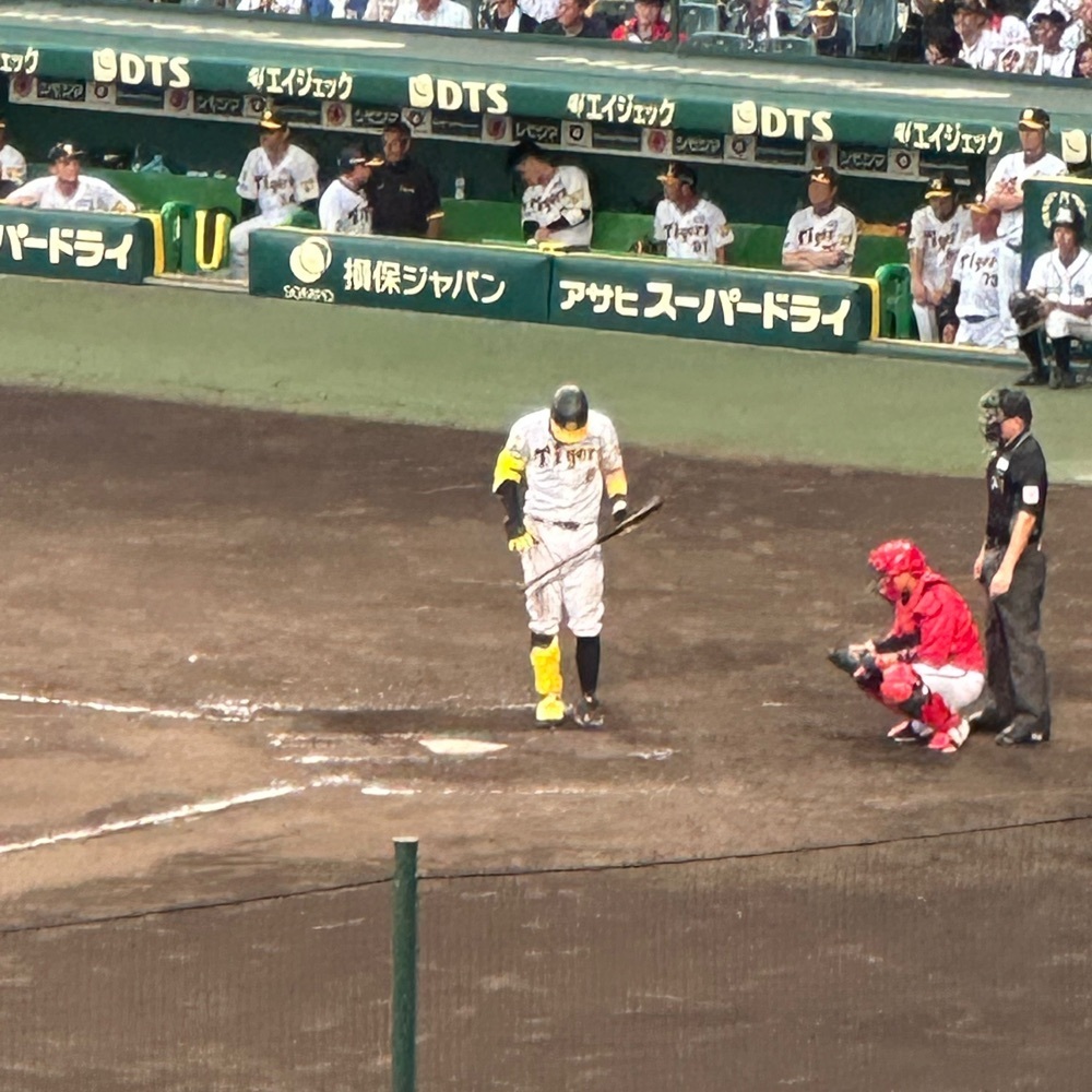 kumakentoraさんが投稿した阪神甲子園球場 グッズショップに関する口コミの画像
