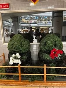 アドベンチャーワールドマリンブルー