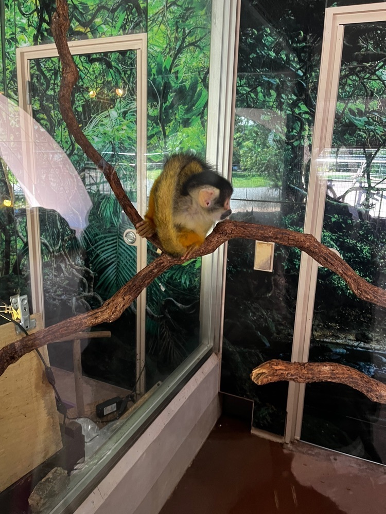 mamama__tさんが投稿したアドベンチャーワールドマリンブルーに関する口コミの画像