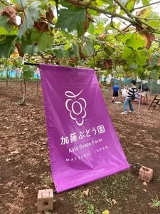 加藤ぶどう園