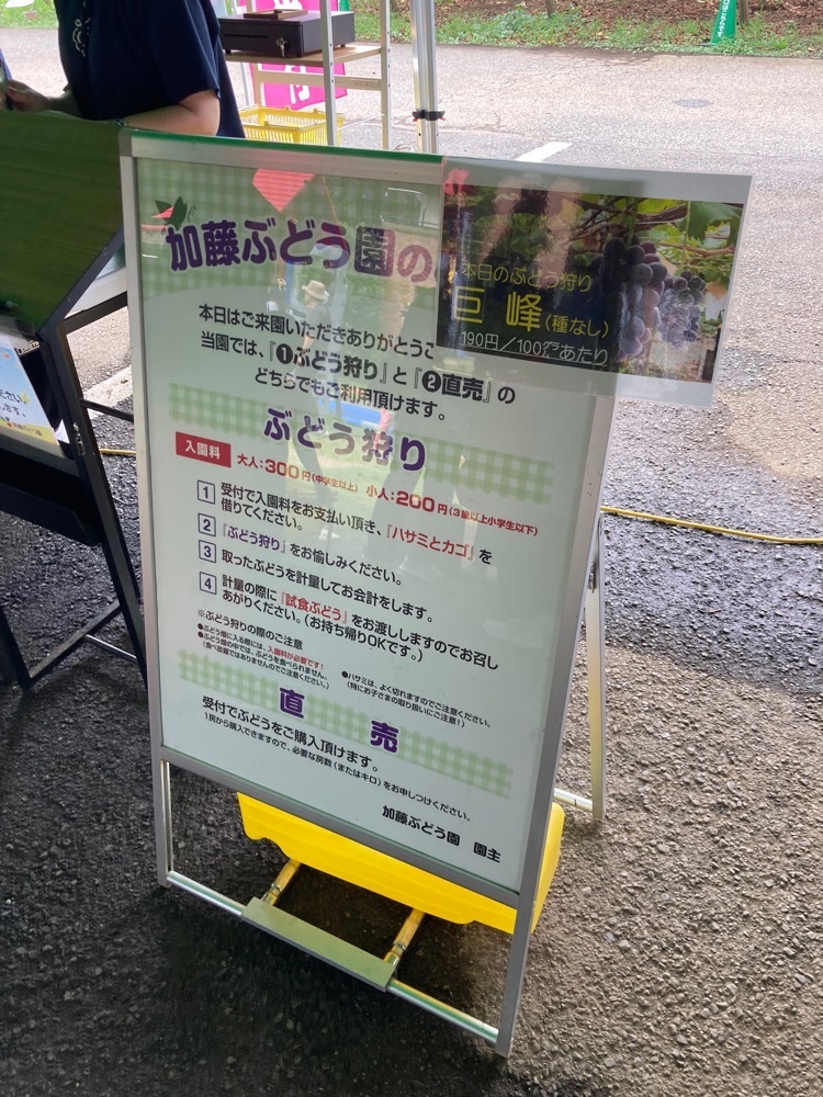 augustriver12さんが投稿した加藤ぶどう園に関する口コミの画像