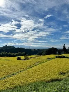 薄根地域ふるさと創生推進協議会