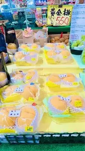 イオンモール 羽生店