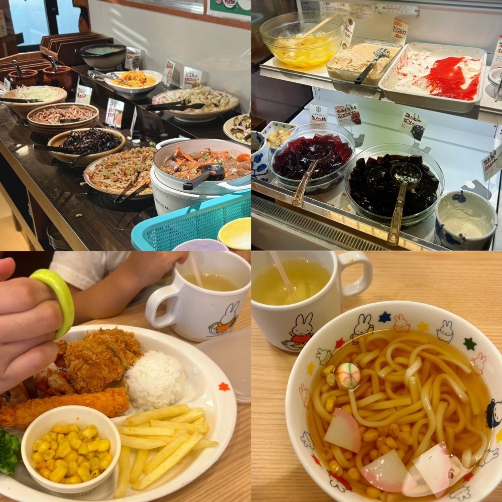 Mr. イリジウム シルバーさんが投稿したかつひろ 豊明前後店（TONKATSU&OBANZAI KATSUHIRO）に関する口コミの画像
