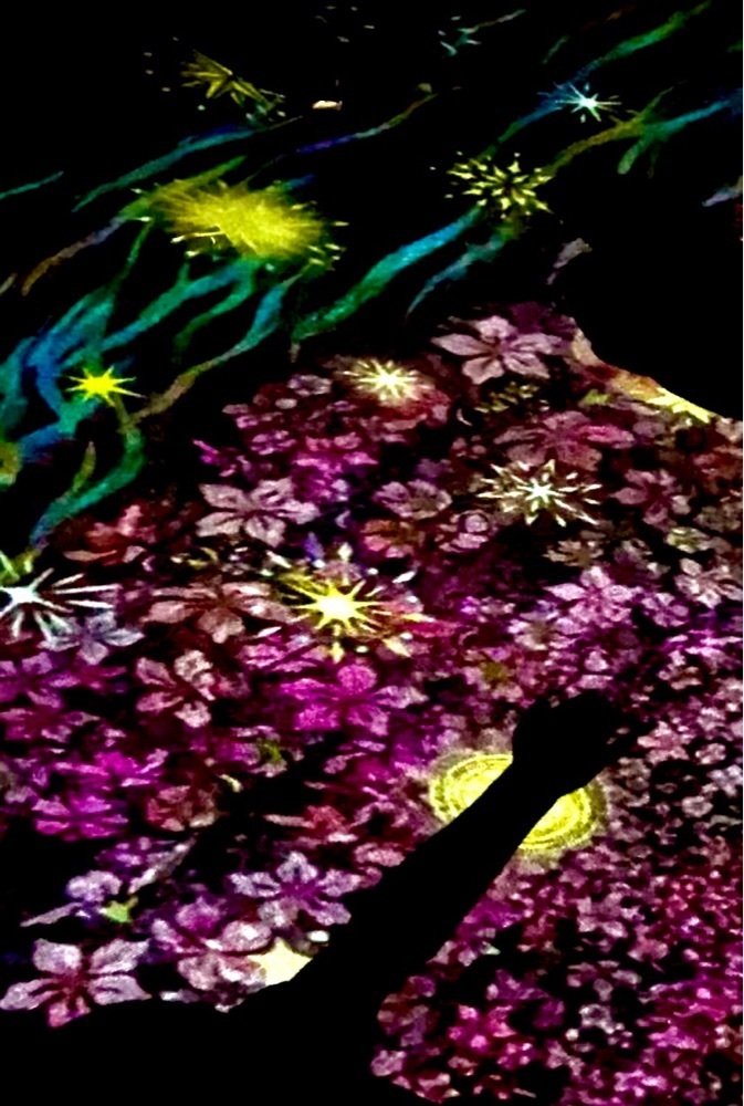 カランさんが投稿した岡山シティミュージアムに関する口コミの画像