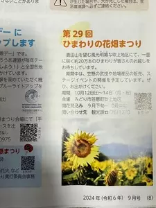 ひまわりの花畑