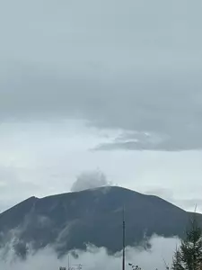 レストランれむの巣
