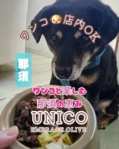 Hamburger Cafe UNICO（【旧店名】Burger shop unico）
