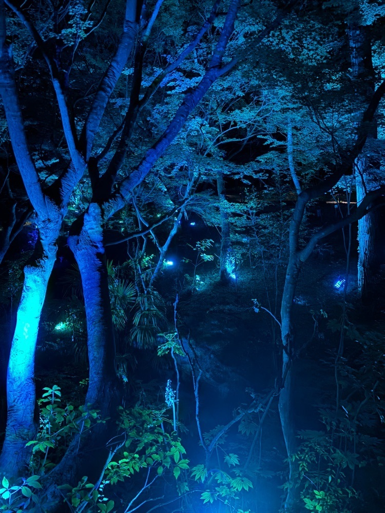 luckyさんが投稿した御船山楽園に関する口コミの画像