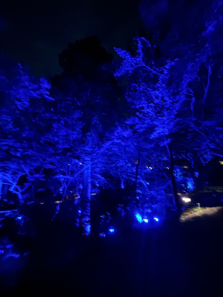 luckyさんが投稿した御船山楽園に関する口コミの画像